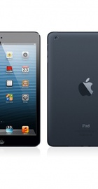 Apple iPad mini Wi-Fi LTE 16GB Black (MD540, MD534)