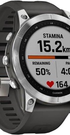 Garmin Fenix 7 Silver with Graphite Band (010-02540-00/01)