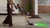 Dyson V16 Piston Animal Exclusive Edition Matte Black/Copper (495948-01)