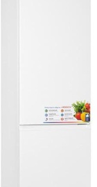 Ardesto DDF-M260W177