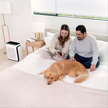 Levoit Vital 200S Pro Smart True HEPA LAP-V201S-AEUR (HEAPAPLVSEU0145Y)