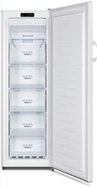 Gorenje FN4171CW