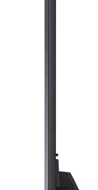LG 75QNED81