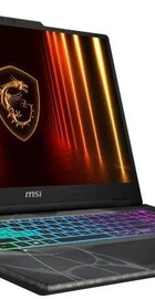 MSI Cyborg 17 B13WFKG (B13WFKG-267XPL)