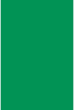 Savage Widetone Holly 2.72m x 11m