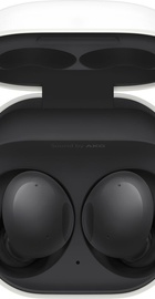 Samsung Galaxy Buds2 Graphite (SM-R177NZKA)