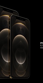 Apple iPhone 12 Pro Max 256GB Gold (MGDE3)