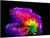 LG OLED77G64LW