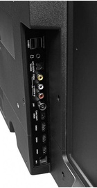 Grunhelm 55U700-GA11V