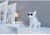 Jarre AeroBull XS1 White