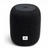 JBL Link Music Black (JBLLINKMUSICBLK)