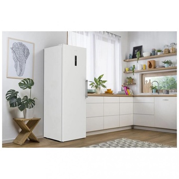 Gorenje FNP619EAW6L