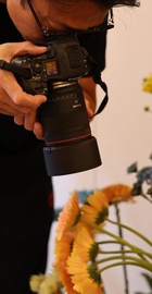 Canon RF 50mm f/1,4 L VCM