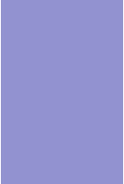 Savage Widetone Orchid 1.36m x 11m