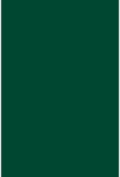 Savage Widetone Evergreen 2.72m x 11m
