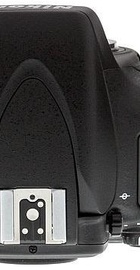 Nikon D800 body