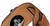 Apple Watch Hermes Cuff 42mm with Fauve Barenia Leather Band (MLCE2)