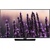 Samsung UE32H5500