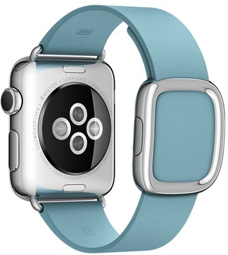 Apple Watch 38mm Stainless Steel Case with Blue Jay Modern Buckle (MMFA2)