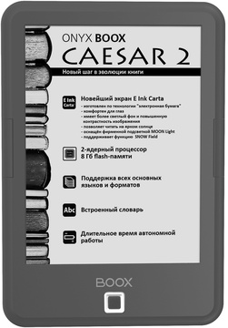 Onyx BOOX Caesar 2 Grey