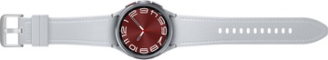 Samsung Galaxy Watch6 Classic 43mm Silver (SM-R950NZSA)