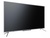 Kivi 43U700GU