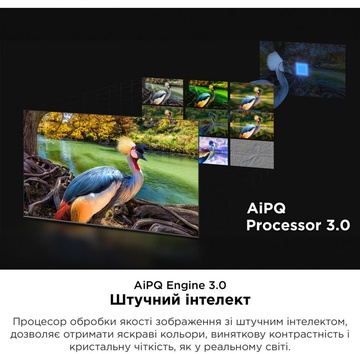 TCL 55C845