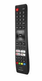Sharp 4T-C55FP1EL2AB
