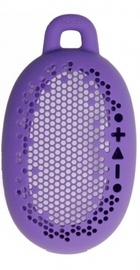 Boom Urchin Skin Purple
