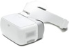 DJI Goggles White