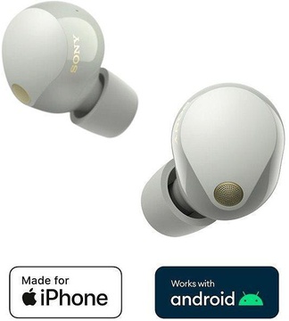 Sony WF-1000XM5 Silver (WF1000XM5S.CE7)