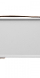 Bang&Olufsen Beolit 15 Natural Champagne