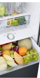 Samsung RB38T676FB1