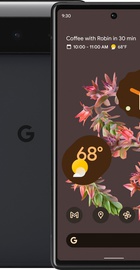 Google Pixel 6 8/256GB Stormy Black