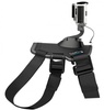 GoPro Fetch (ADOGM-001)
