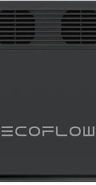 EcoFlow DELTA 2 Black International version (EFE980-IN)