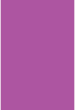 Savage Widetone Plum 2.72m x 11m