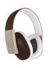 Polk Audio Polk Audio Buckle