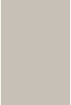 Savage Widetone Studio Gray 1.36m x 11m