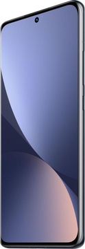 Xiaomi 12 12/256GB Gray (China)