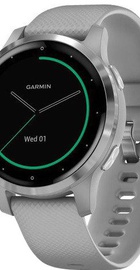 Garmin vivoactive 4S Powder Gray/Silver (010-02172-03)