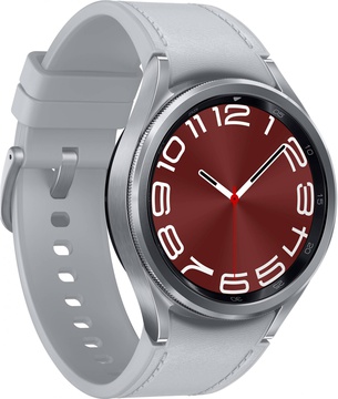 Samsung Galaxy Watch6 Classic 43mm Silver (SM-R950NZSA)