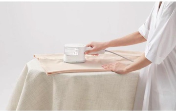 Xiaomi Handheld Steam Iron (1091728)