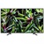 Sony KD-65XG7096