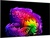 LG OLED65G64LW