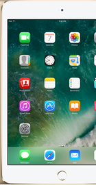 Apple iPad mini 4 Wi-Fi 32GB Gold (MNY32)