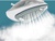 Tefal Express Steam FV2863E1