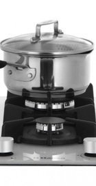 Hansa BHKW310300