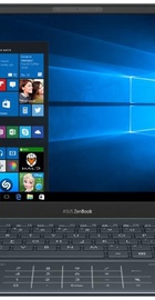 ASUS ZenBook 13 UX325JA Pine Grey (UX325JA-AH050T)