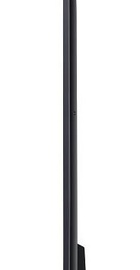LG 55QNED80